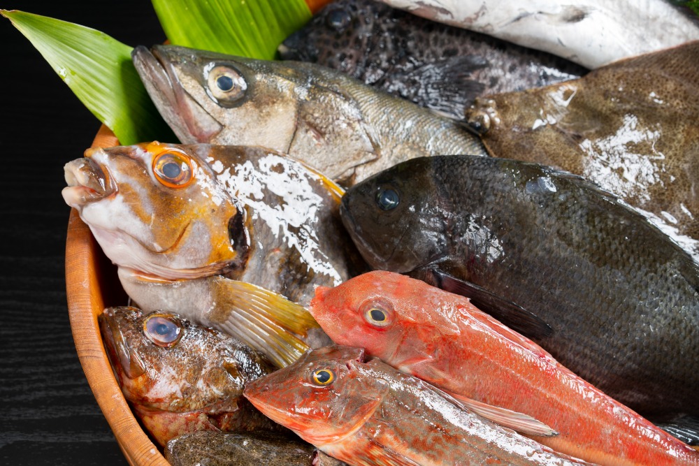 魚の種類と鮮度